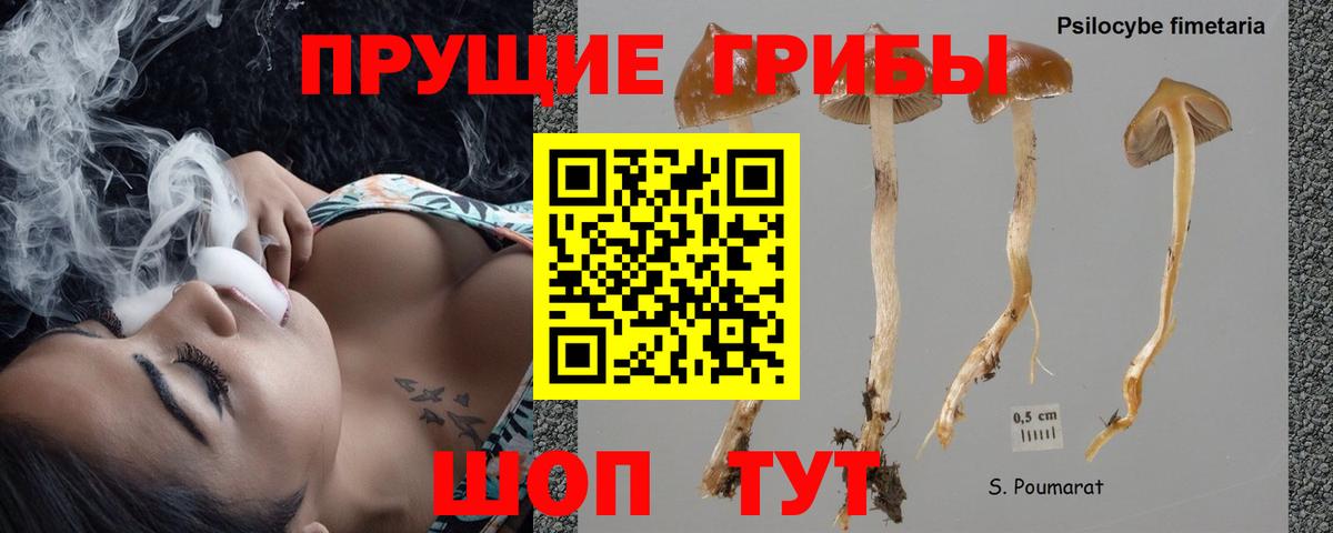 Галлюциногенные грибы прущие грибы Красноуфимск